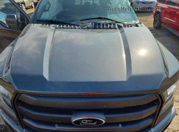 1FTEW1EG0HFC71990 2017 FORD F150 Gray Սալոնի հետևի տեսք