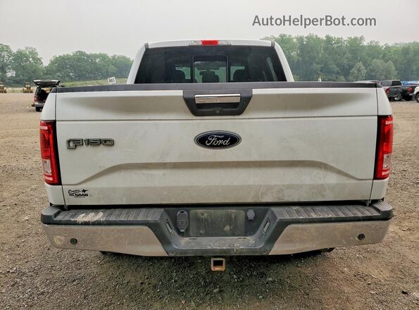 1FTEW1EG0HFC87316 2017 FORD F150 White Rear view