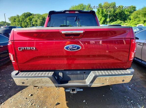 1FTEW1EG1GFB60198 2016 FORD F150 Red უკანა ხედი