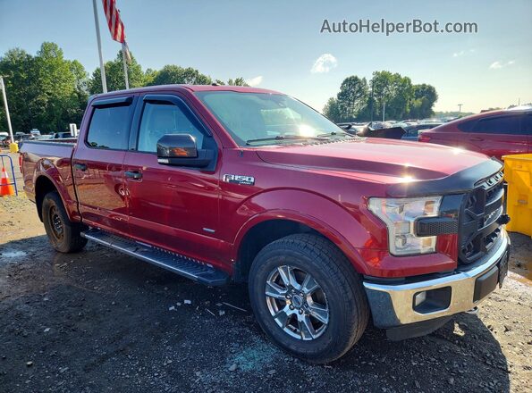 1FTEW1EG1GFB60198 2016 FORD F150 Red წინა მარჯვენა