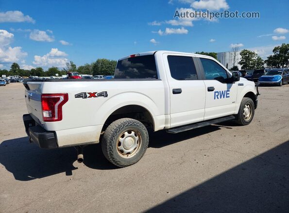 1FTEW1EG1GKD24976 2016 FORD F150 White Tył prawy