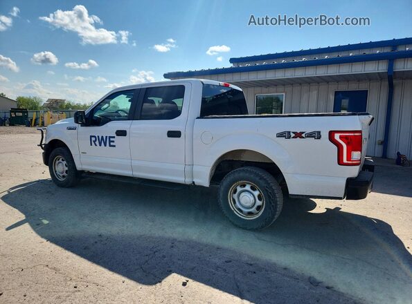 1FTEW1EG1GKD24976 2016 FORD F150 White Tył lewy