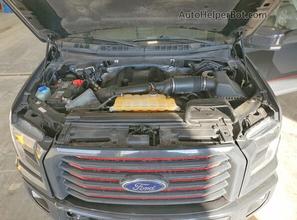 1FTEW1EG1HFA36725 2017 FORD F150 Gray Rear interior view