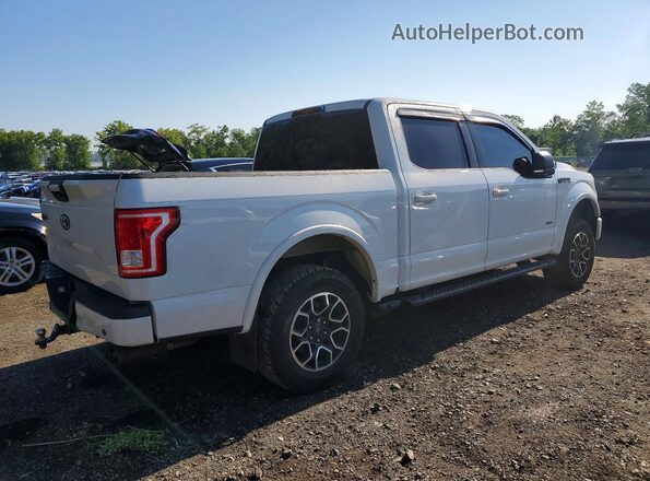 1FTEW1EG2GFB89757 2016 FORD F150 White Tył prawy