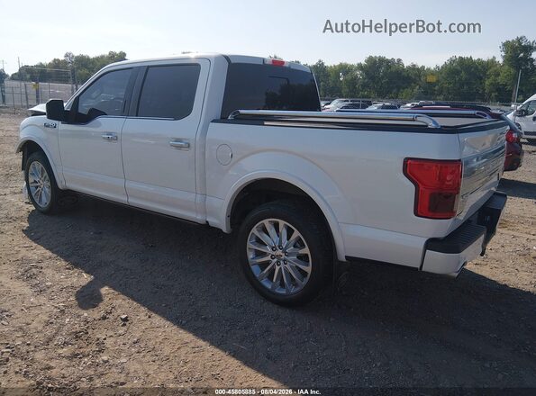 1FTEW1EG2KFD20338 2019 FORD F150 White Tył lewy