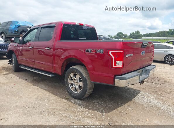 1FTEW1EG3GFB76953 2016 FORD F150 Красный Задняя левая четверть