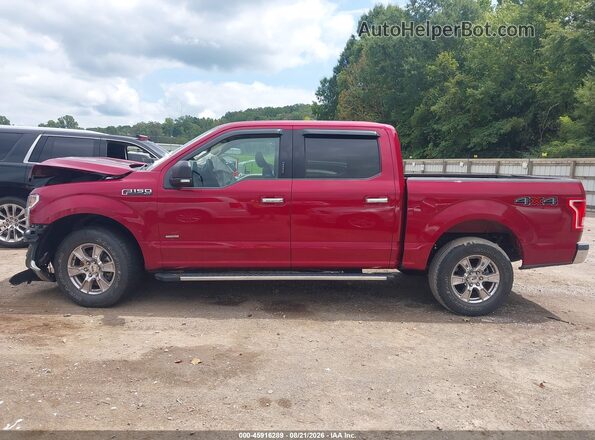 1FTEW1EG3GFB76953 2016 FORD F150 Красный Панорамный вид салона 360°