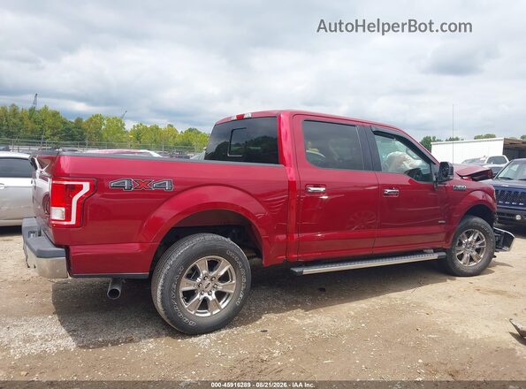 1FTEW1EG3GFB76953 2016 FORD F150 Красный Вид задней части салона