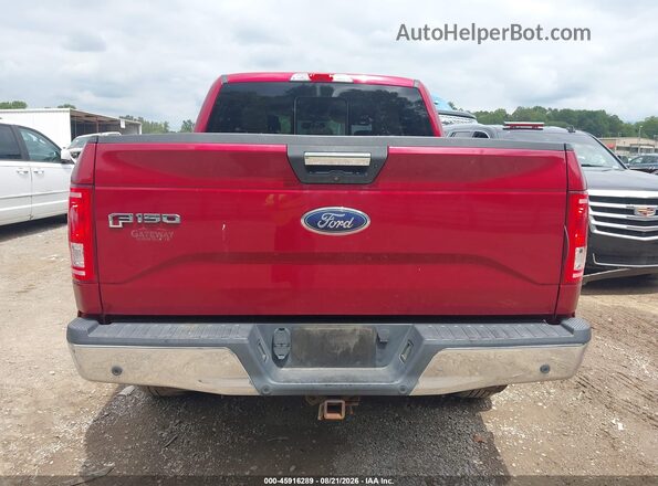 1FTEW1EG3GFB76953 2016 FORD F150 Красный 