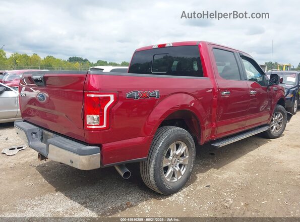 1FTEW1EG3GFB76953 2016 FORD F150 Красный Задняя правая четверть