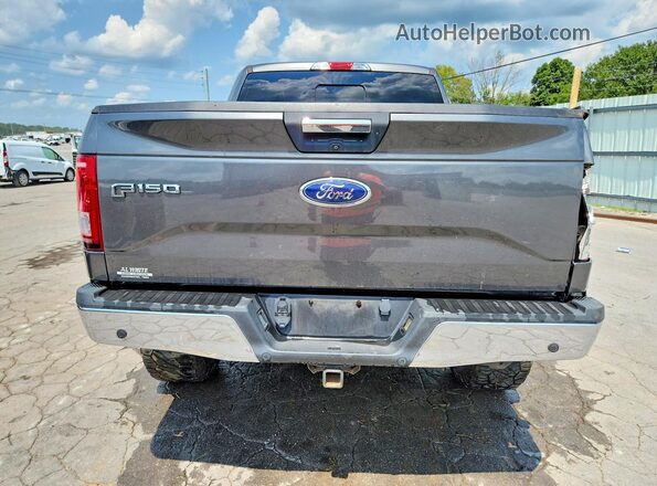 1FTEW1EG3HFA56913 2017 FORD F150 Gray Հետևի տեսք