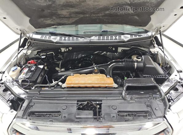 1FTEW1EG5GFA07436 2016 FORD F150 Белый 
