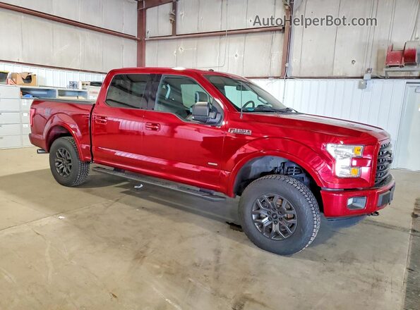 1FTEW1EG7GFB98115 2016 FORD F150 Burgundy Delantero derecho