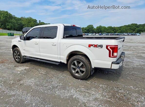 1FTEW1EG7GFD49017 2016 FORD F150 White Задня ліва чверть