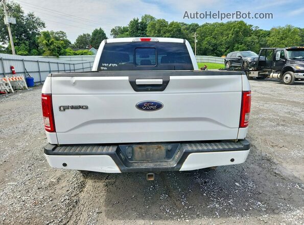 1FTEW1EG7GFD49017 2016 FORD F150 White Вид ззаду