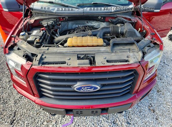 1FTEW1EG9GFB67724 2016 FORD F150 Burgundy Вид задньої частини салону