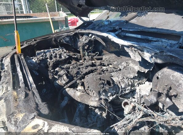 1FTEW1EG9GFB98195 2016 FORD F150 White Rear view