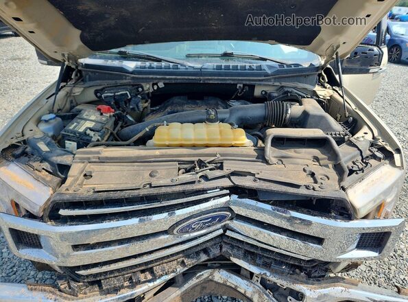 1FTEW1EG9JFE39020 2018 FORD F150 Золотой Вид задней части салона