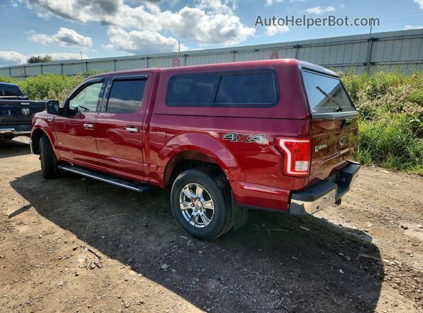 1FTEW1EGXGFB31072 2016 FORD F150 Red Rear left