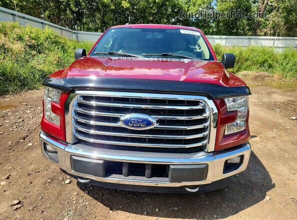 1FTEW1EGXGFB31072 2016 FORD F150 Red Front view