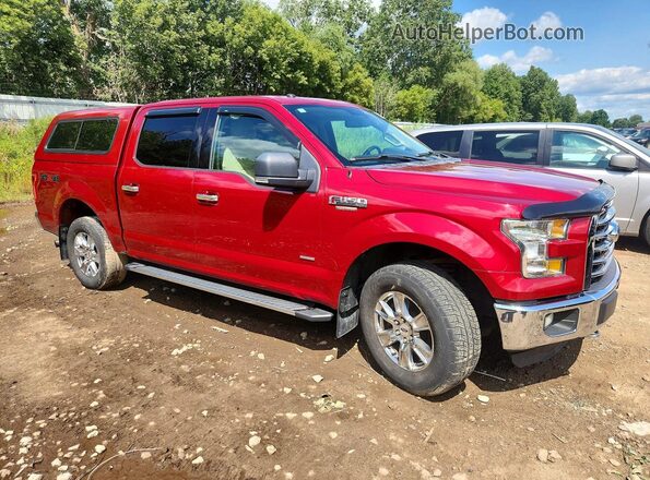 1FTEW1EGXGFB31072 2016 FORD F150 Red Front right