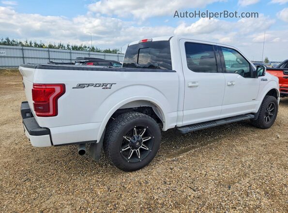 1FTEW1EGXHKC93650 2017 FORD F150 White Tył prawy