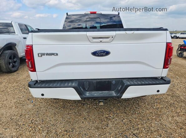 1FTEW1EGXHKC93650 2017 FORD F150 White Widok z tyłu