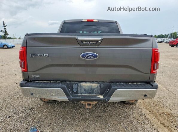 1FTEW1EP0HKC69650 2017 FORD F150 Gray უკანა ხედი
