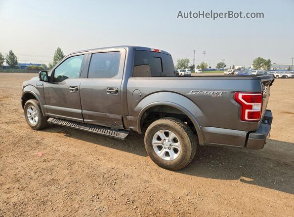 1FTEW1EP0KFD05000 2019 FORD F150 Gray Tył lewy