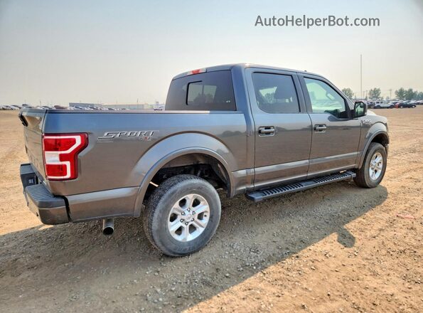 1FTEW1EP0KFD05000 2019 FORD F150 Gray Tył prawy