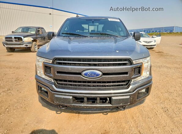 1FTEW1EP0KFD05000 2019 FORD F150 Gray Widok z przodu