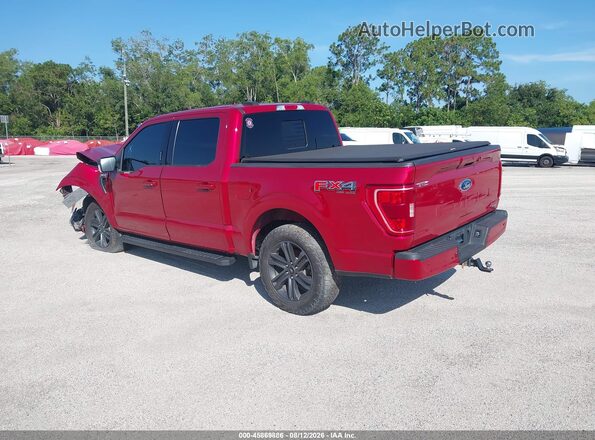 1FTEW1EP0MFD02651 2021 FORD F150 Red უკანა მარცხენა