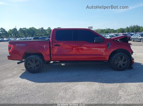 1FTEW1EP0MFD02651 2021 FORD F150 Red უკანა სალონის ხედი
