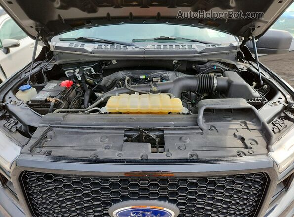 1FTEW1EP1KFB42258 2019 FORD F150 Black Вид задньої частини салону