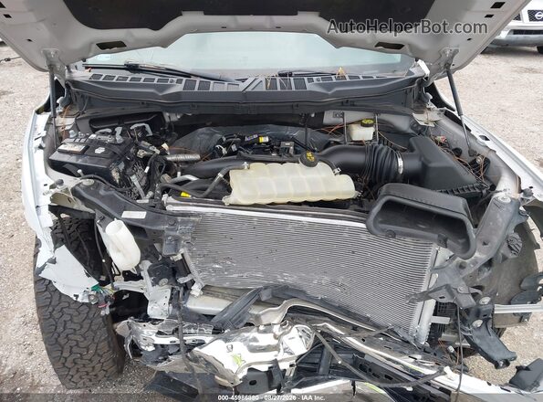 1FTEW1EP1MKF00145 2021 FORD F150 Gray Հետևի տեսք