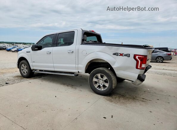 1FTEW1EP2GFA12741 2016 FORD F150 White Trasero izquierdo
