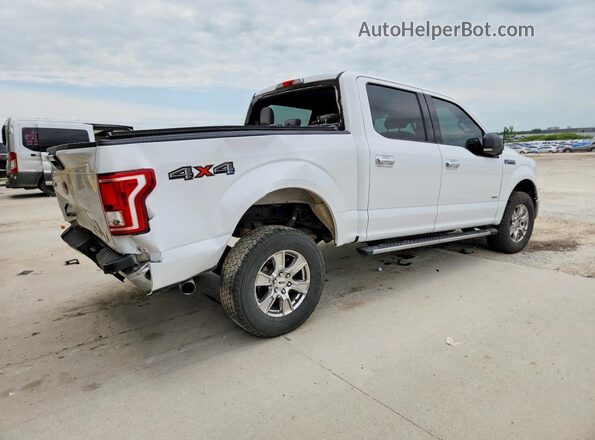 1FTEW1EP2GFA12741 2016 FORD F150 White Trasero derecho
