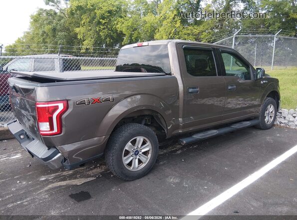 1FTEW1EP2GKD81350 2016 FORD F150 Brown უკანა მარჯვენა