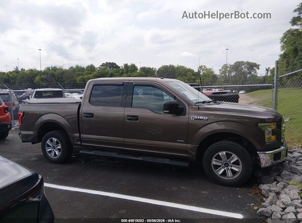 1FTEW1EP2GKD81350 2016 FORD F150 Brown უკანა სალონის ხედი