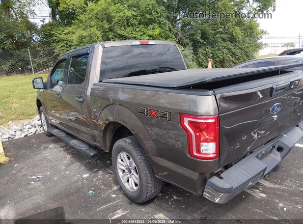 1FTEW1EP2GKD81350 2016 FORD F150 Brown სალონის 360-გრადუსიანი ხედი