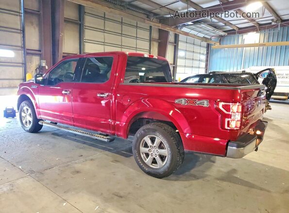1FTEW1EP2KFB63068 2019 FORD F150 Red Задня ліва чверть