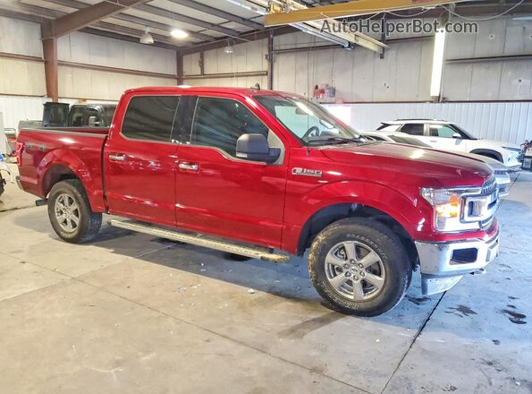 1FTEW1EP2KFB63068 2019 FORD F150 Red Передня права чверть