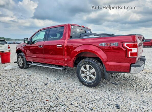 1FTEW1EP2KFC06517 2019 FORD F150 Red Tył lewy