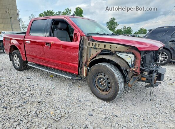 1FTEW1EP2KFC06517 2019 FORD F150 Red Przód prawy
