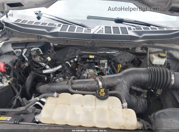 1FTEW1EP2MFC99283 2021 FORD F150 Серебряный Вид сзади