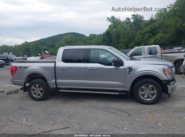 1FTEW1EP2MFC99283 2021 FORD F150 Серебряный Вид задней части салона