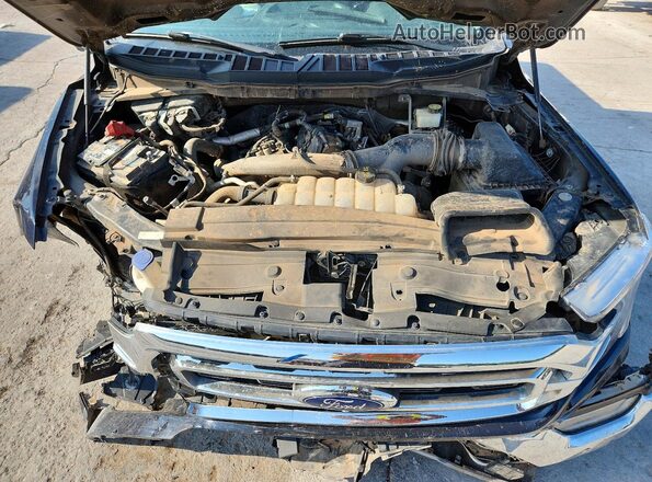 1FTEW1EP2MKD32015 2021 FORD F150 Blue Rear interior view
