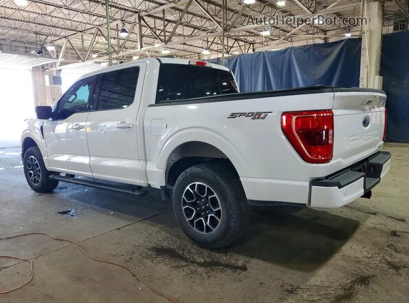 1FTEW1EP2PFA40166 2023 FORD F150 White Trasero izquierdo