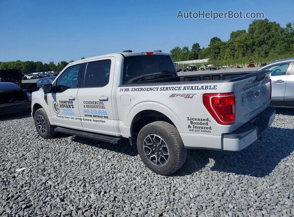 1FTEW1EP2PKE84753 2023 FORD F150 Gray უკანა მარცხენა