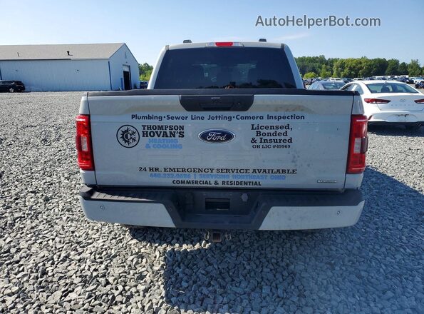 1FTEW1EP2PKE84753 2023 FORD F150 Gray უკანა ხედი